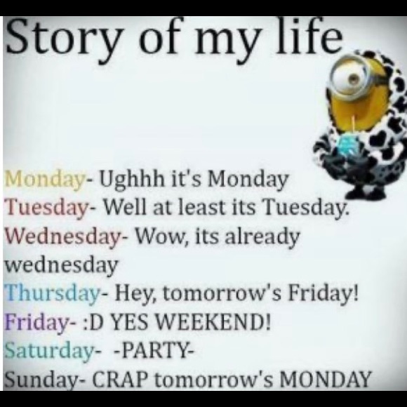 🌟CLOSED🌟 - Picture 5 of 15